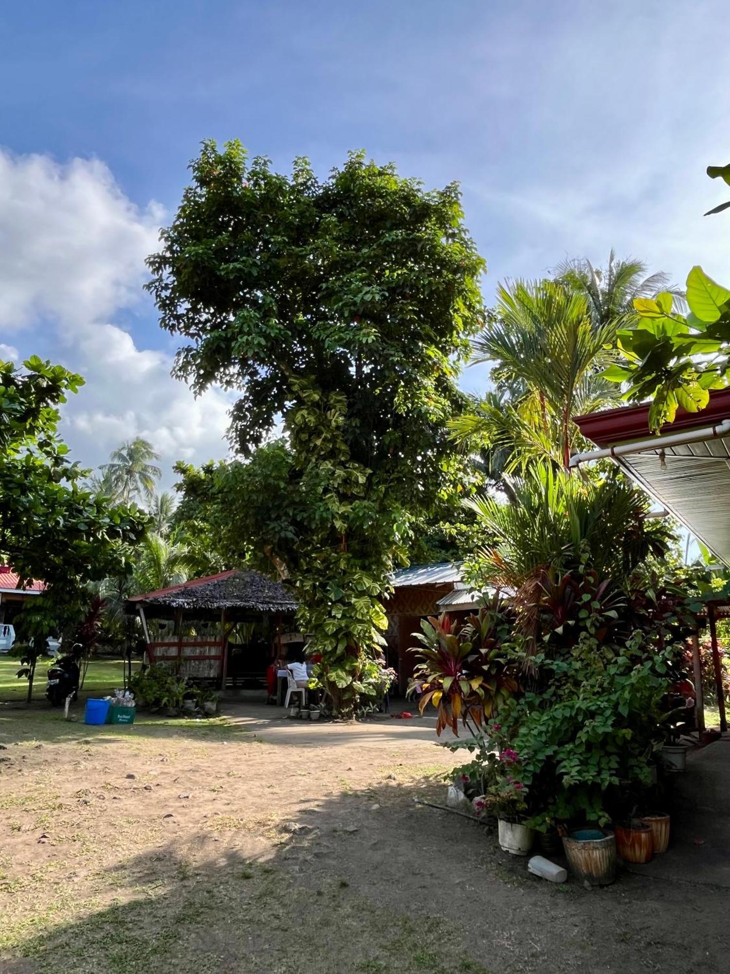 Paco's Garden Home Stay Mambajao Exterior foto